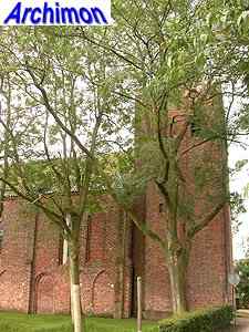 Krewerd (Gr): reformed church